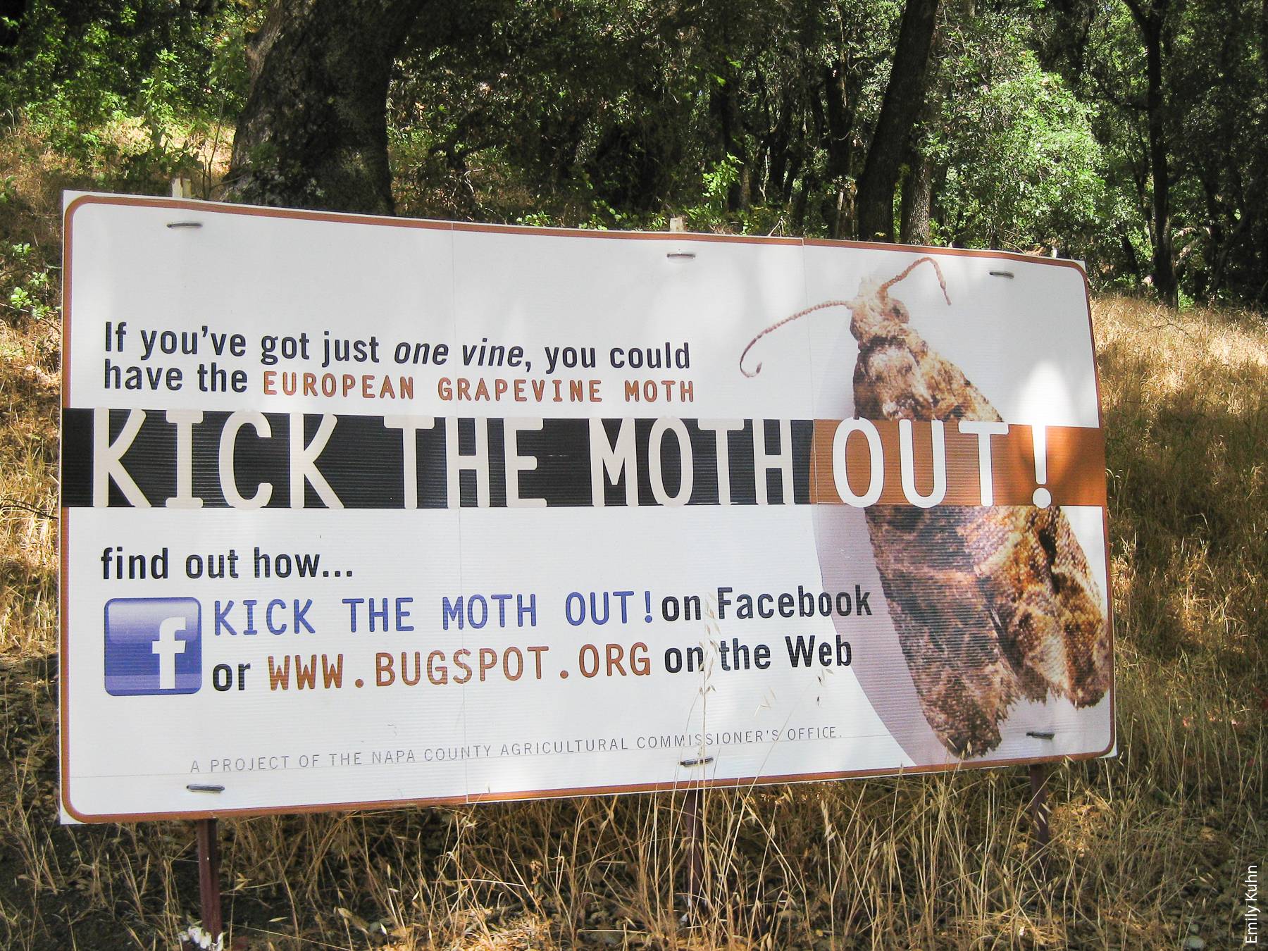 The public campaign “Kick the Moth Out” raised awareness of the EGVM program in Napa County.