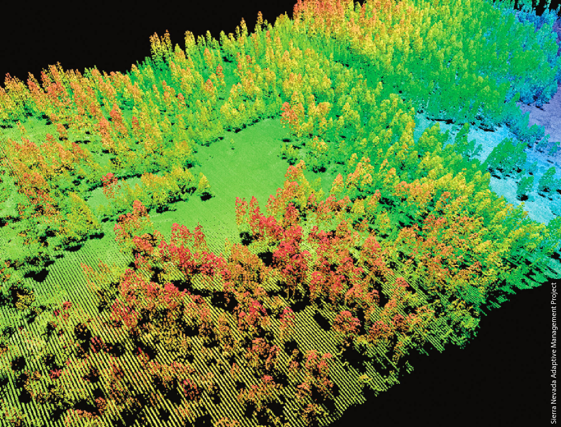 Collections of Lidar points show trees in the Sierra National Forest, where much of the research on remote sensing has occurred.