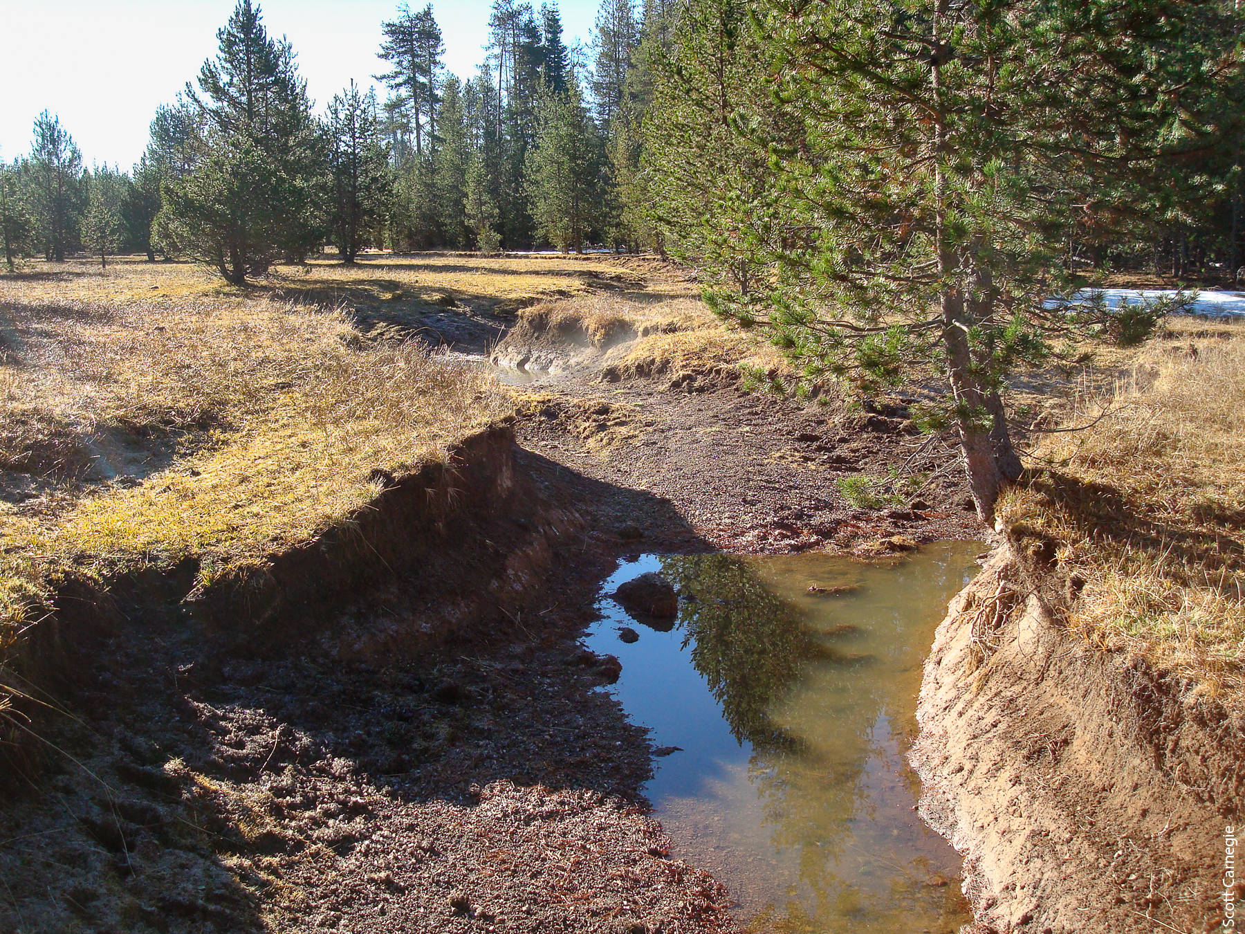 Eroded stream channel.