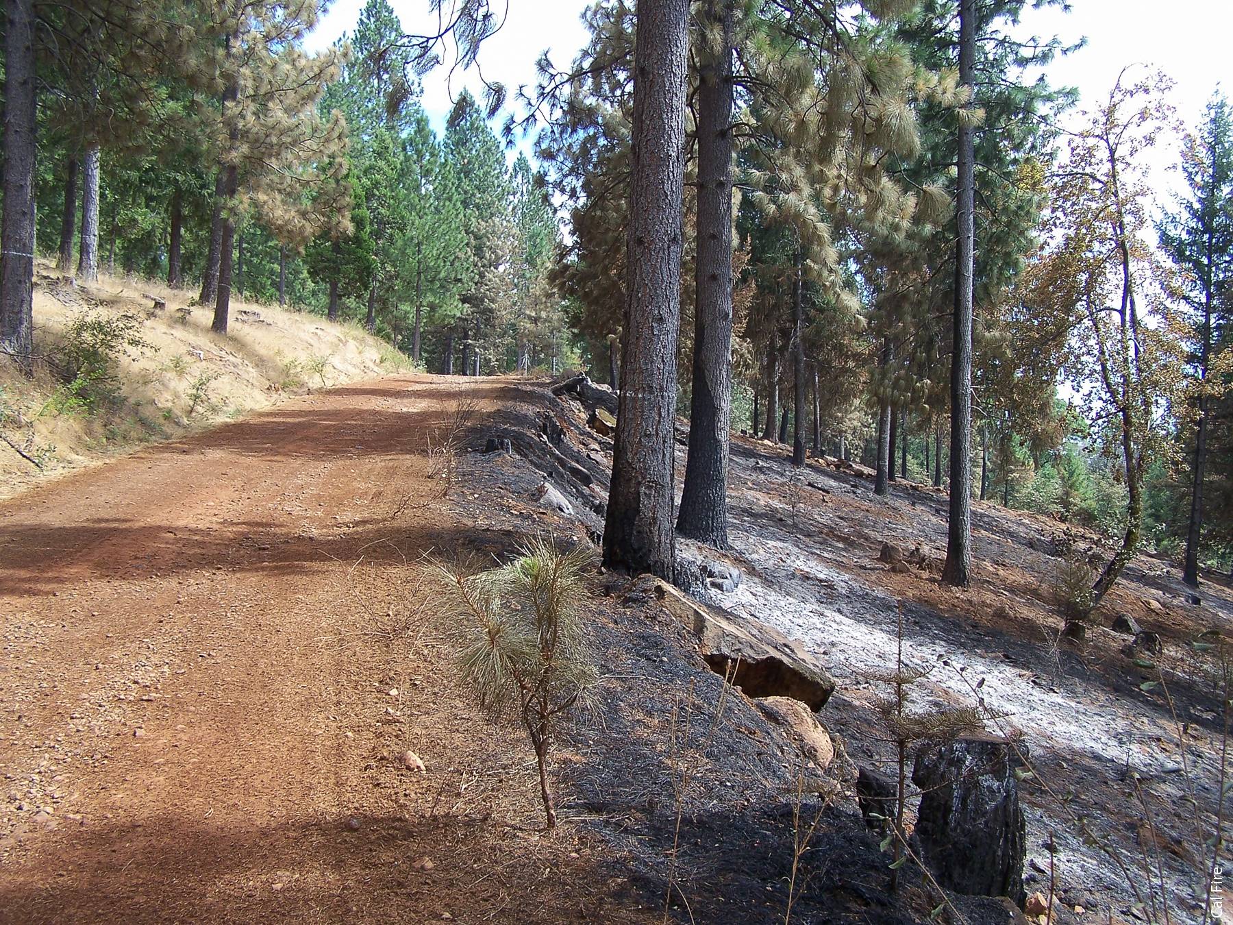 In 2006, a fire in Marysville (Yuba County) was stopped at the Oregon Ridge fuel break, which was constructed by private timber landowners as part of the Slapjack fuel reduction project.