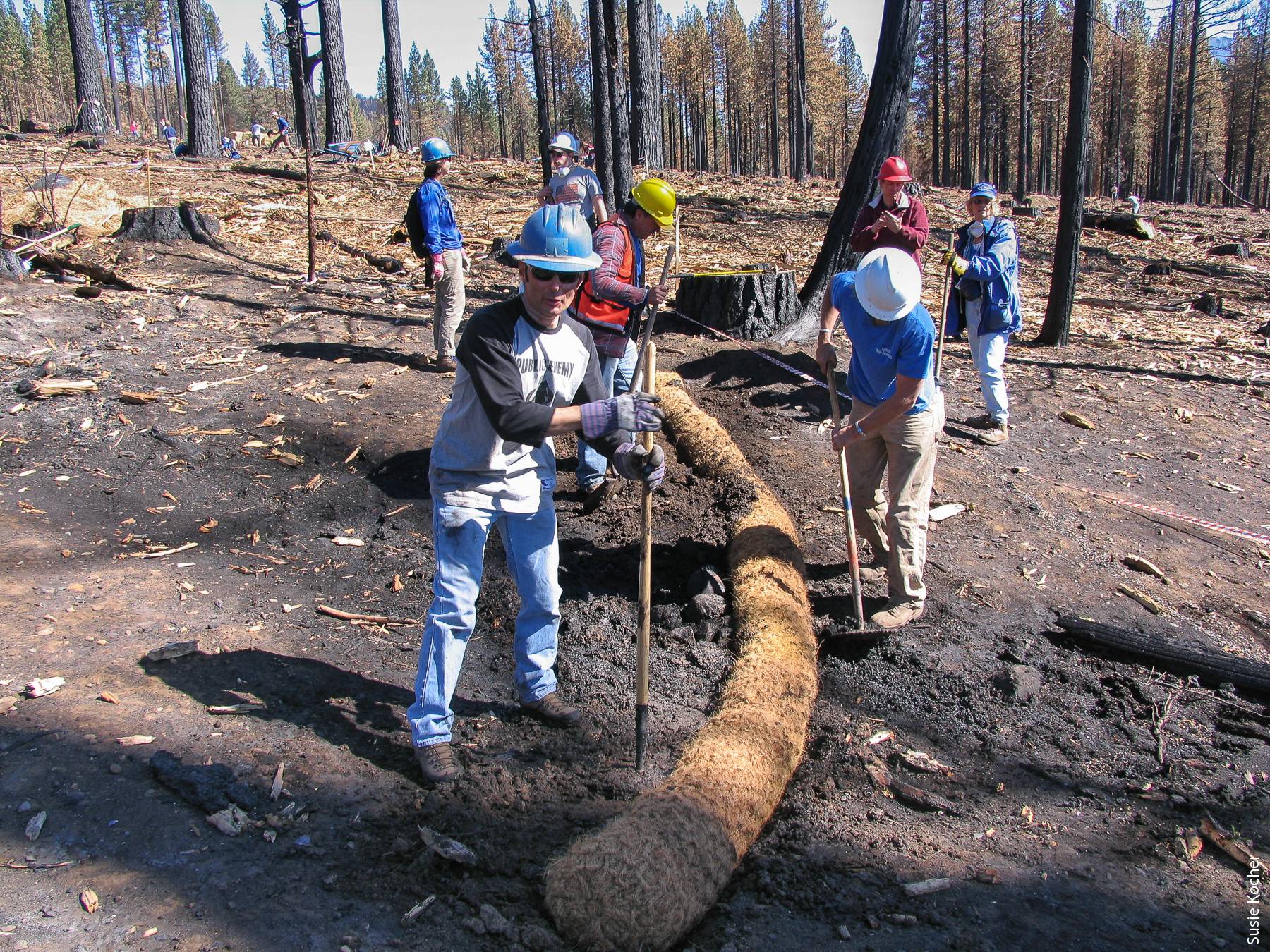 Volunteers for the League to Save Lake Tahoe install erosion control measures following the 2007 Angora fire near South Lake Tahoe. The fire burned 3,100 acres, destroying 250 residences.