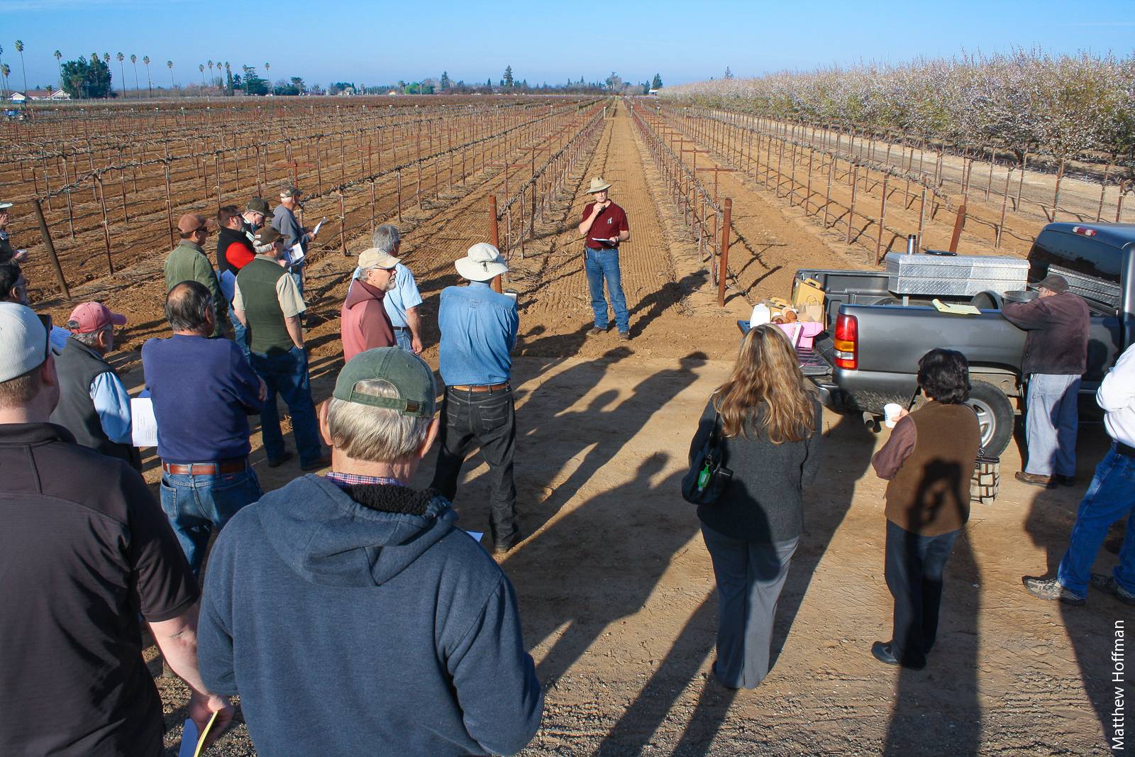 Lodi wine grape growers gather to learn about mechanical pruning equipment and trellising systems from UCCE San Joaquin County farm advisor Paul Verdegaal and fellow growers with experience on the topic. Field meetings cultivate social learning passively. Network-smart extension would integrate facilitation techniques to actively engage growers in knowledge-sharing activities with their peers.