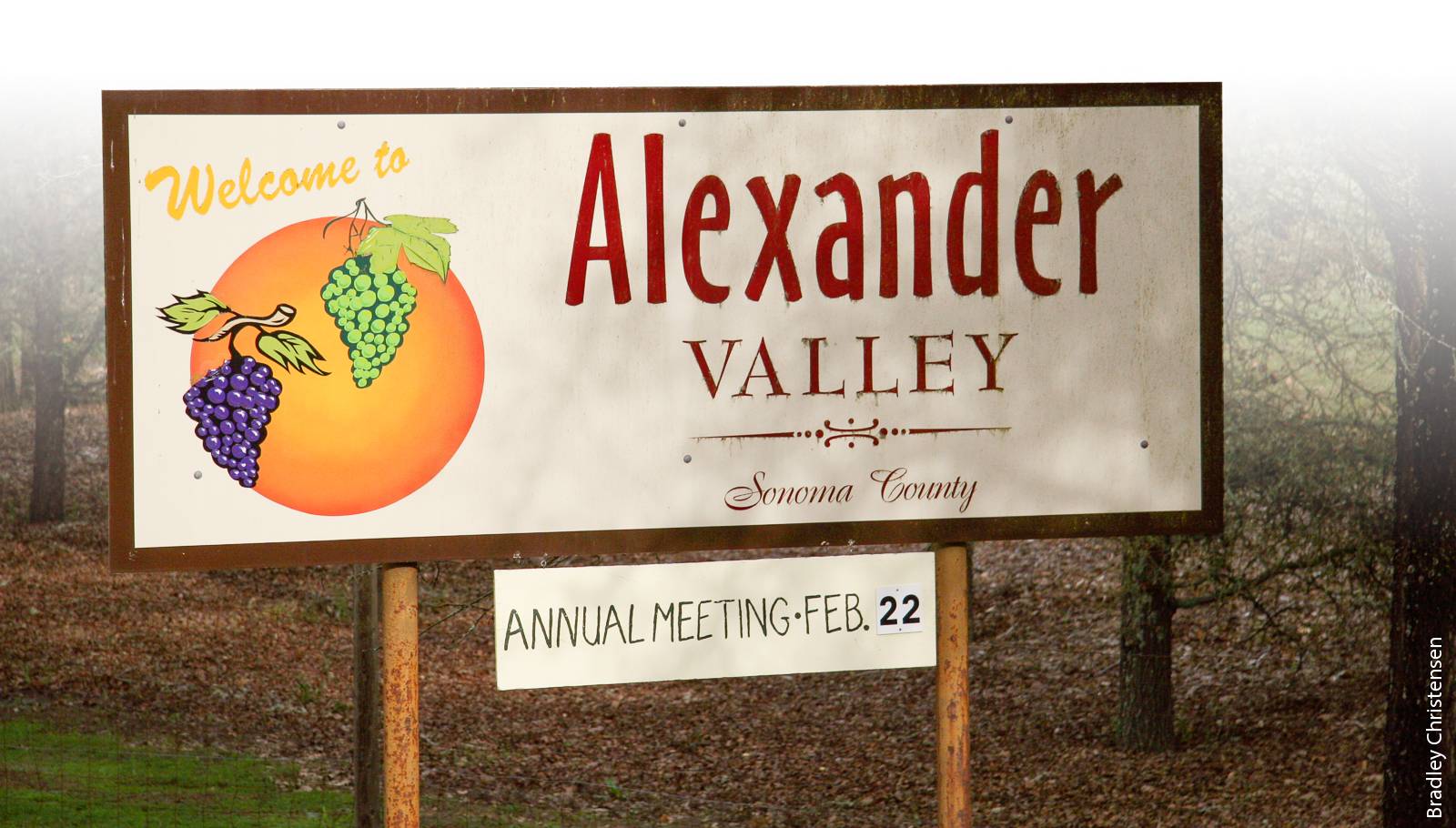 Many winemaking regions in California, such as Alexander Valley in Sonoma County, are developing recognizable identities that add value to their wines.