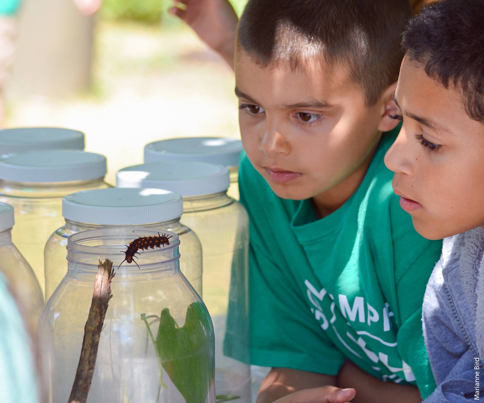 The Sacramento County 4-H Children, Youth and Families at Risk project focuses on science and technology literacy in its afterschool program.