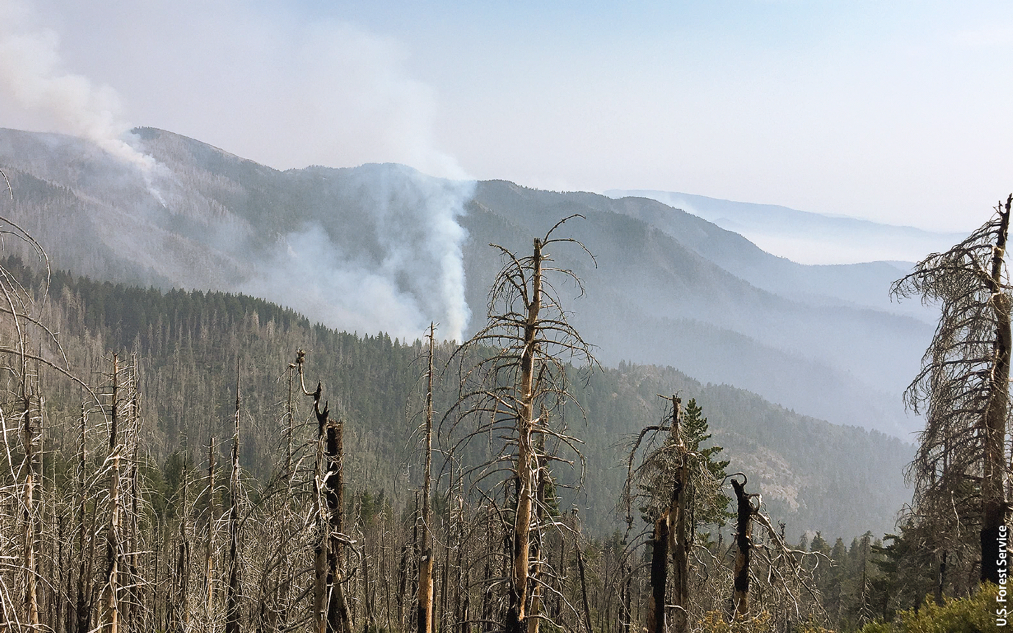 The Gasquet Complex Fire, which was caused by lightning in the Six River National Forest in California on Jul. 31, had consumed over 30,000 acres as of Sep. 14.