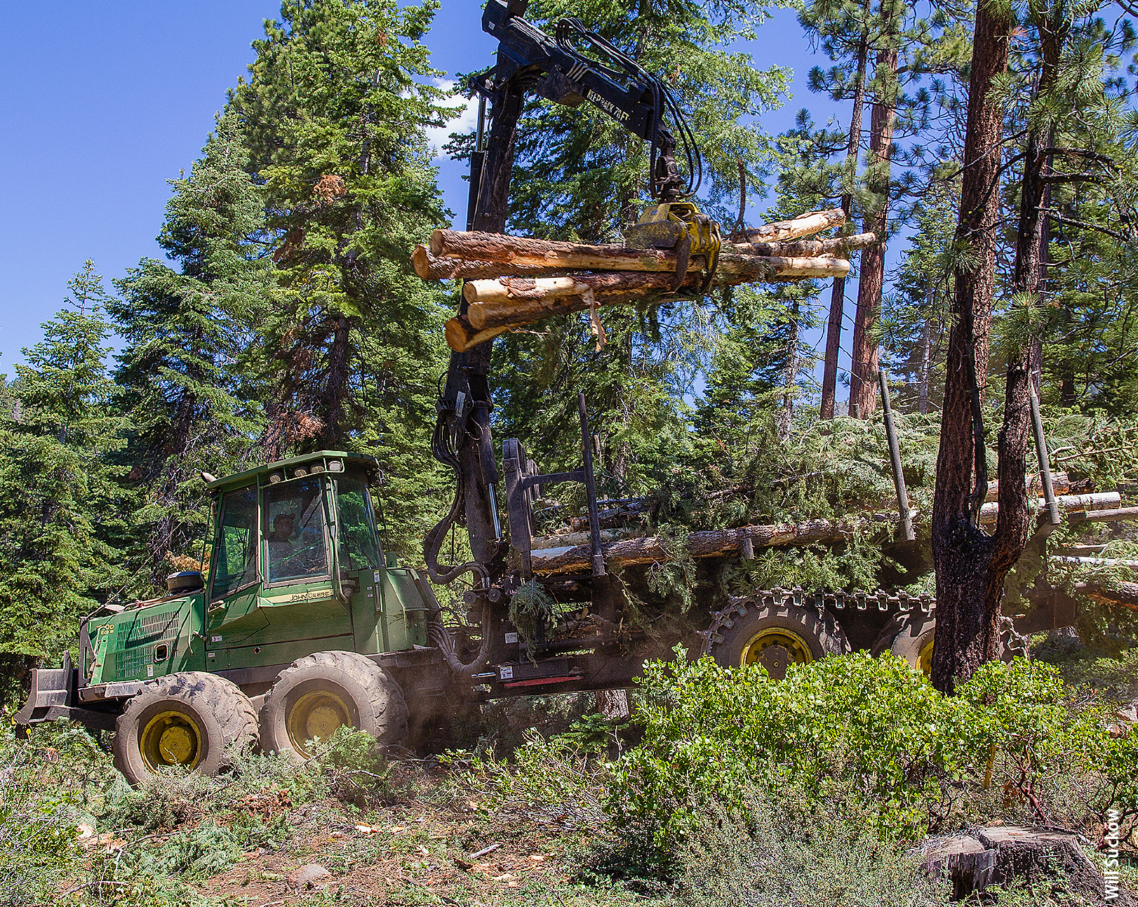 A forwarder collects forest slash for chipping at the U.S. Forest Service's Yeti Fuels Reduction project near Lake Tahoe.