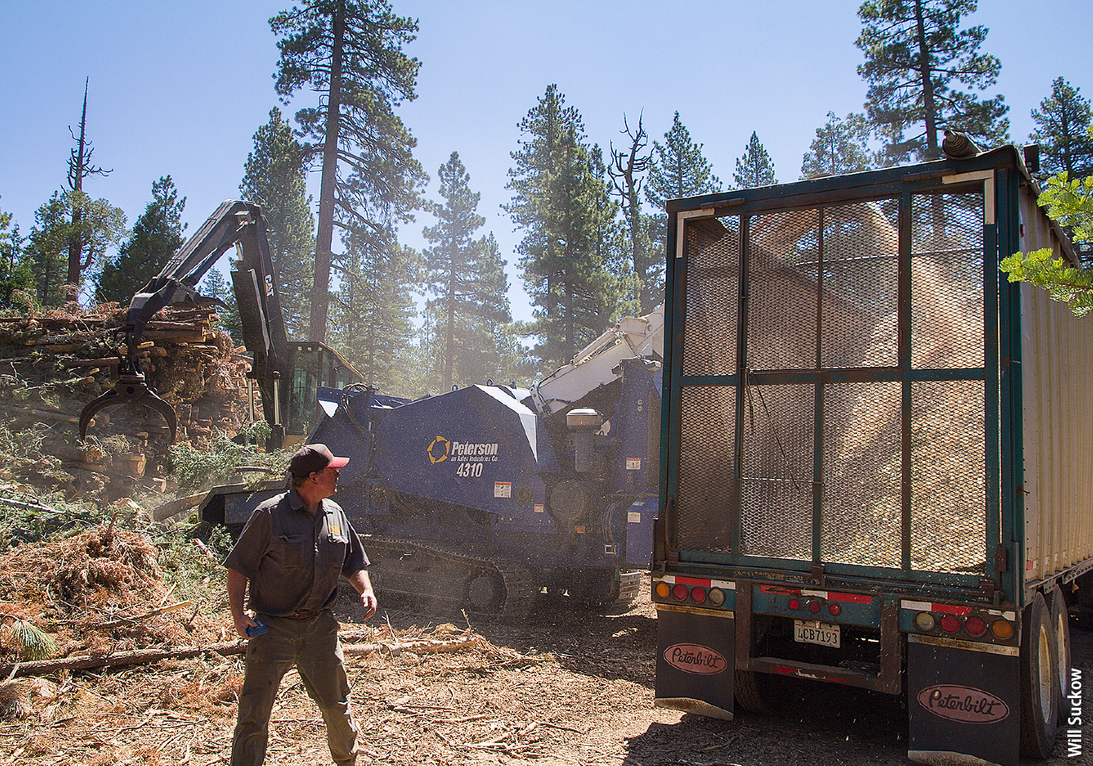 A heel boom log loader feeds a chipper, which fills a chip van at the Yeti Fuels Reduction project near Lake Tahoe. Kirk Furlong-Wentworth of CTL Forest Management, Inc. monitors the job.