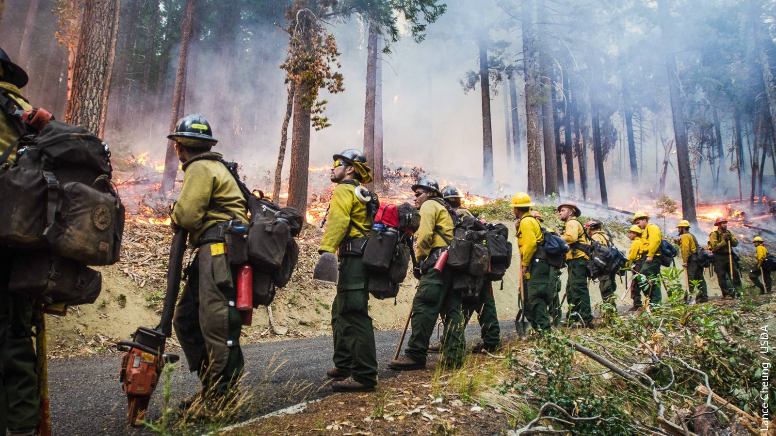 An interagency crew conducts a prescribed burn to help stop the Big Windy Complex Wildlands fire near Galice, Oregon, in 2013. In California, annual federal and state spending on wildfire suppression typically exceeds $1 billion.