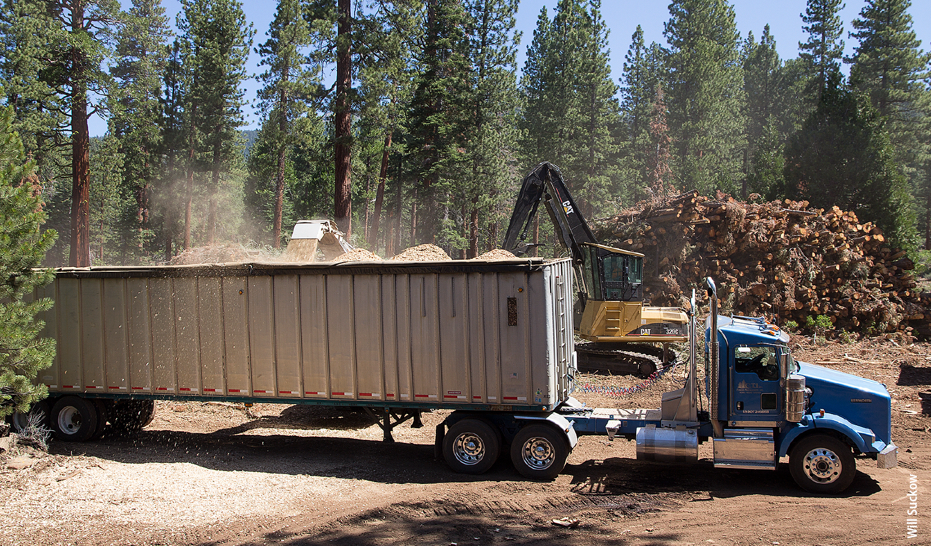 A trailer is loaded with wood chips at a U.S. Forest Service-funded fuels reduction project in the Lake Tahoe area. The chips will be hauled to a biomass energy facility to help defray disposal costs.