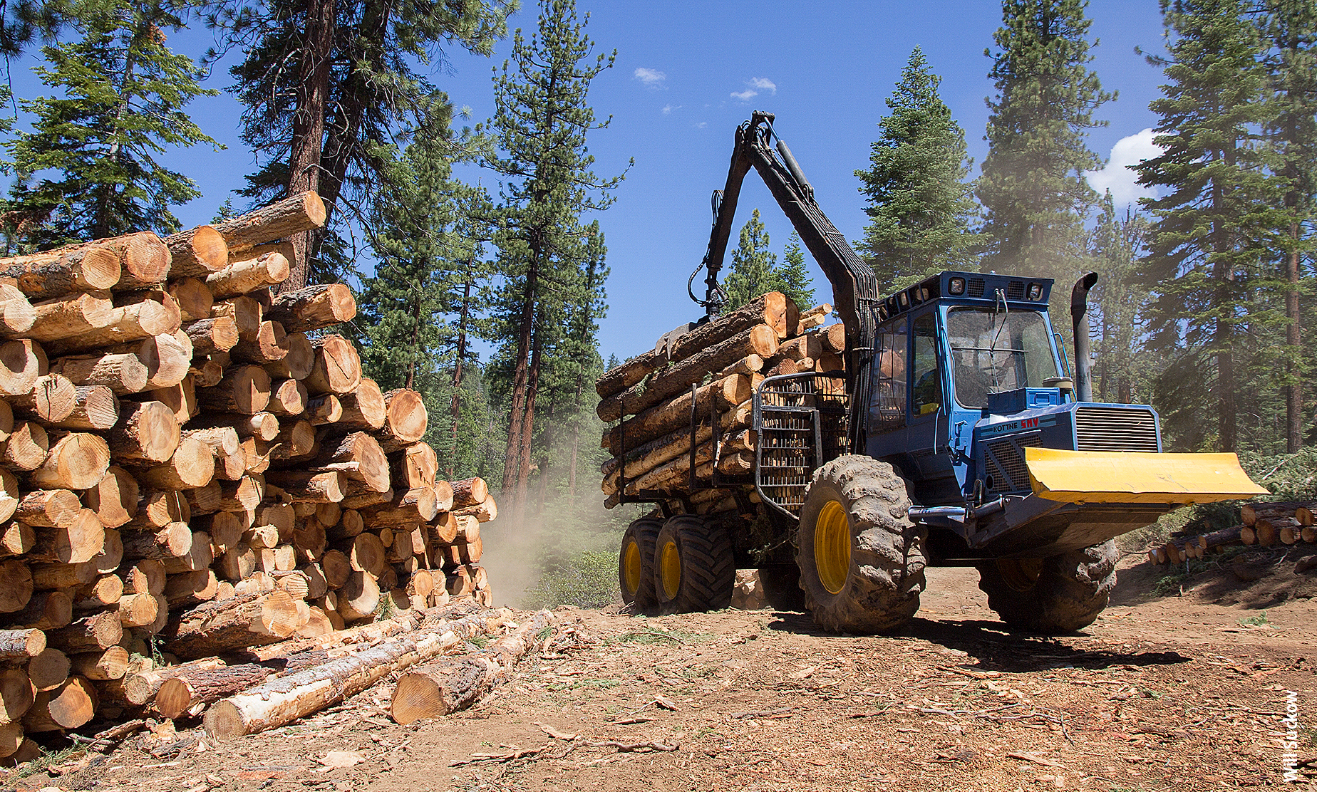 Revenue from the sale of forest products generated by thinning operations can help to offset the costs of fuel treatments. A forwarder collects marketable logs at the U.S. Forest Service Yeti Fuels Reduction Project near Lake Tahoe.