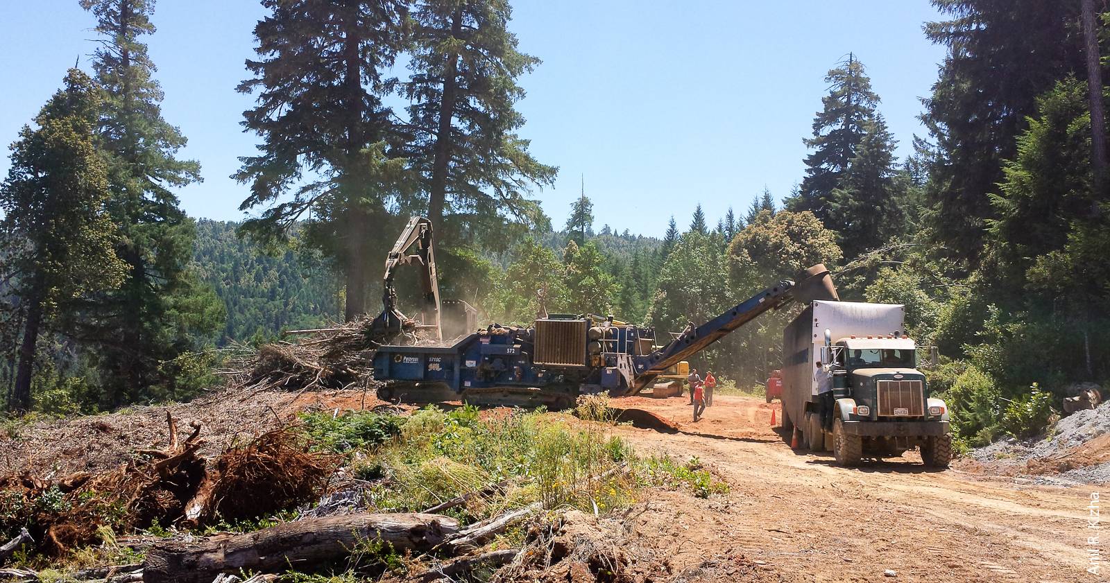 Forest residues are fed into a grinder at a centralized site and then loaded into a container for transport to the power plant. In Humboldt County, power plants use approximately 472,500 bone dry tons of biomass per year to generate electricity.