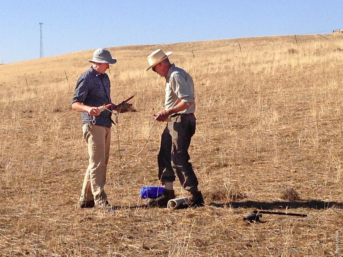 UC Berkeley researchers Devin Coleman-Derr and John Taylor collect soil samples to evaluate microbial populations in an undisturbed field.