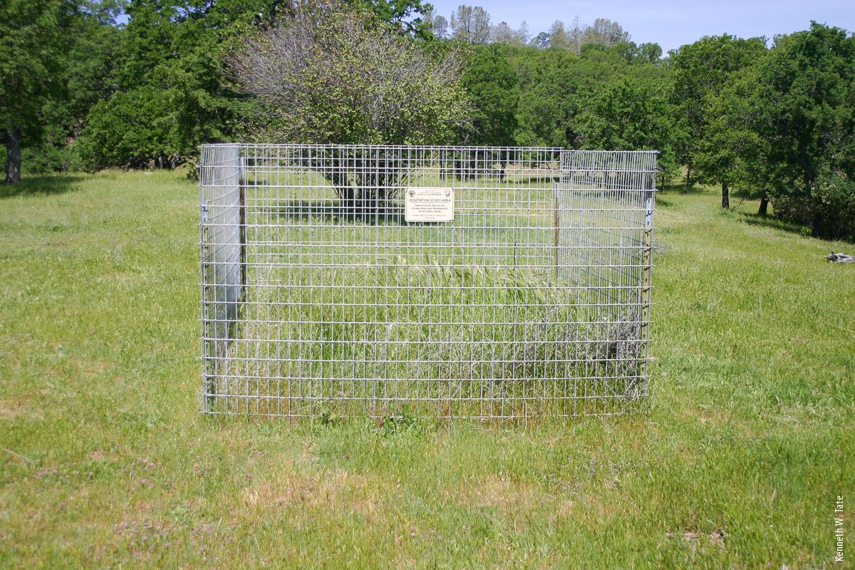 Livestock-proof grazing exclosure at the Bear Creek Unit.