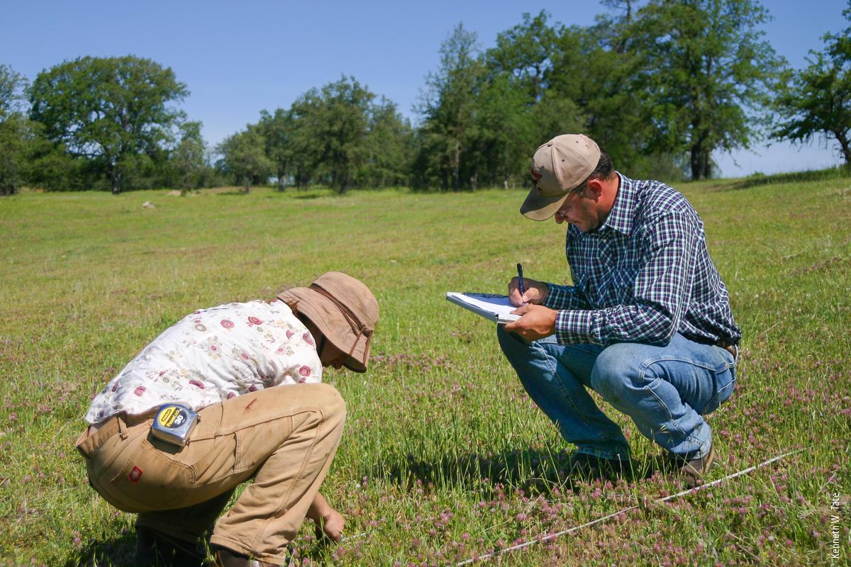 Authors Alexis Robertson (left) and Josh Davy (right) monitoring plots after a spring grazing. By 2011, there was a significant increase in desirable forage species in the grazed plots.