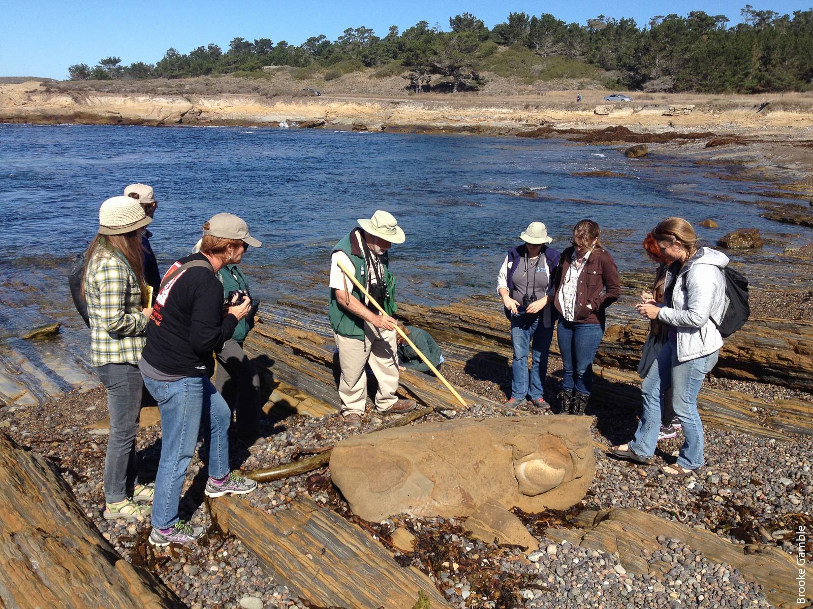 The California Naturalist program encourages participants to engage in research, environmental monitoring and restoration work. Here, California Naturalists explore trace fossils with geologist Ed Clifton at Point Lobos State Natural Reserve in Monterey County.
