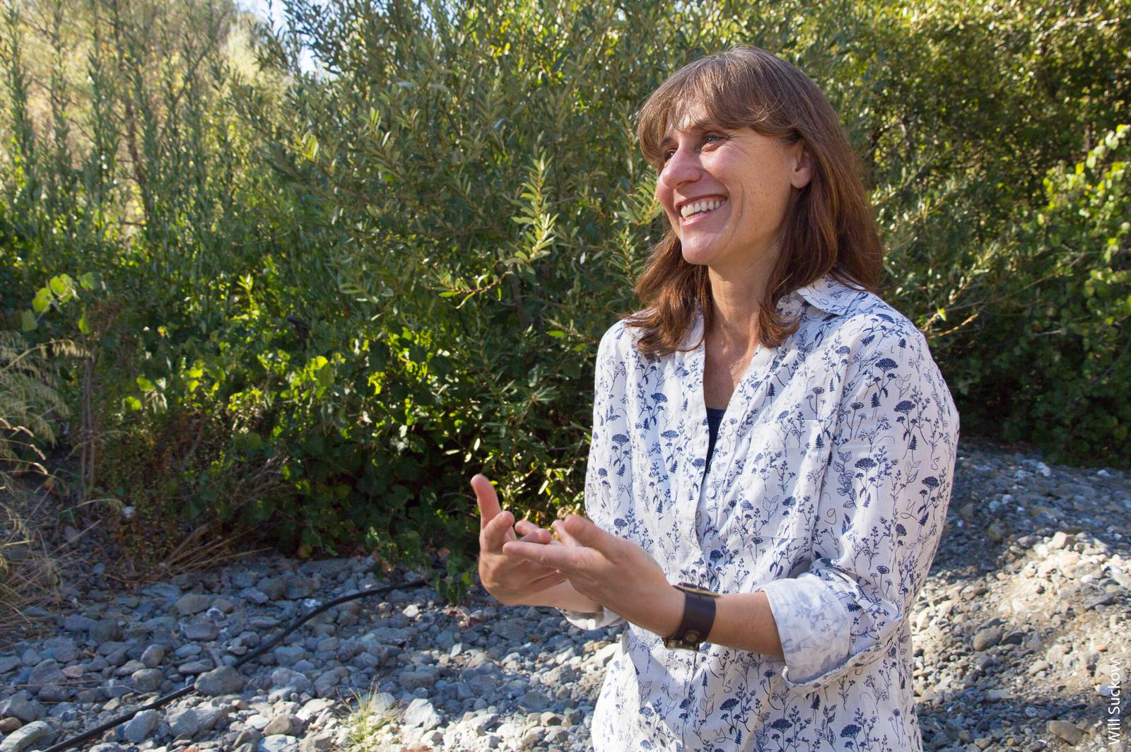 Research by Merenlender and her collaborators has helped to transform the practice of stream restoration in Mediterranean climates.