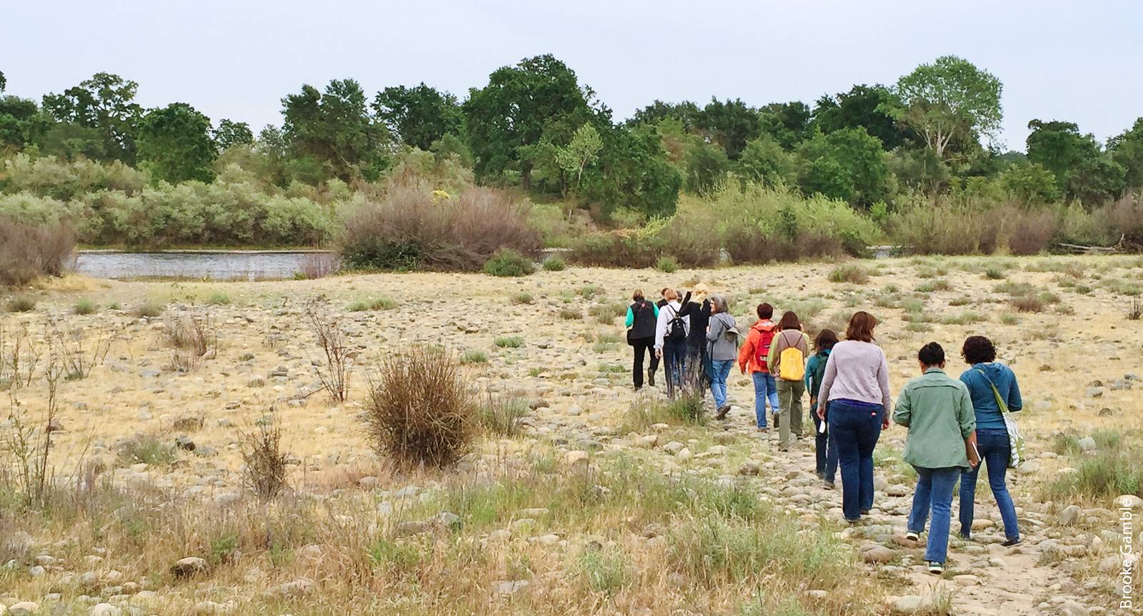 Above, California Naturalists learn about the plants and animals of the American River Parkway at the Effie Yeaw Nature Center near Sacramento.