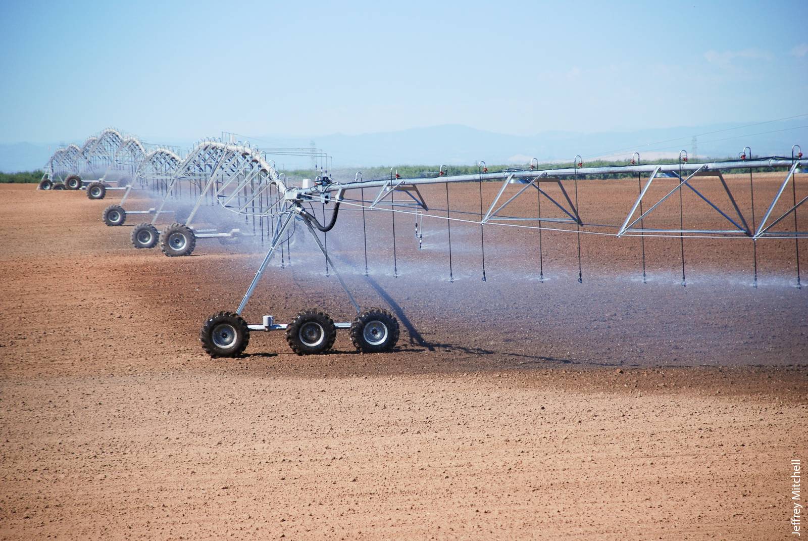 In California, overhead systems are used on just 2% of the state's total irrigated acreage. Here, a center-pivot system irrigates small grain winter forage and summer silage corn production in Denair.