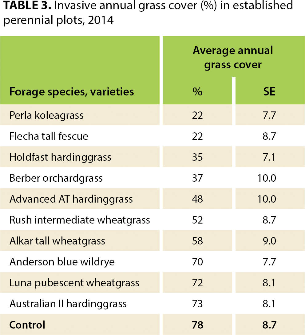 Invasive annual grass cover (%) in established perennial plots, 2014