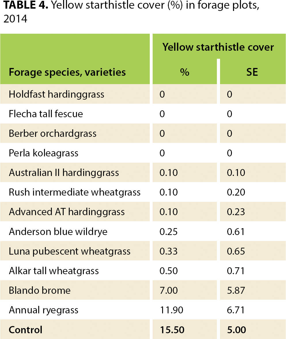 Yellow starthistle cover (%) in forage plots, 2014