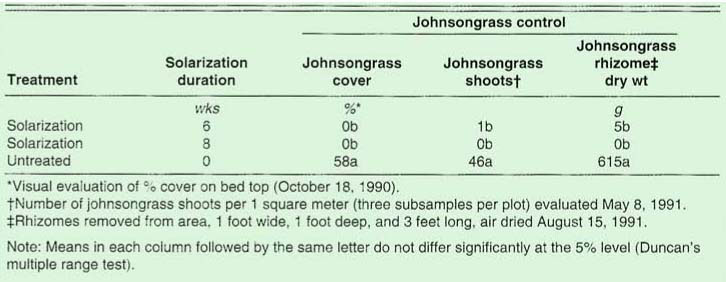 Established johnsongrass control with soil solarization for 6 or 8 weeks in Davis, California, 1990
