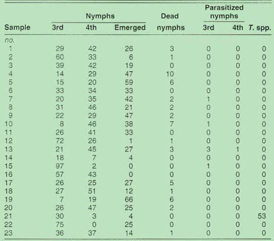 Percentages of live Bemisia spp. whitefly nymphs, dead nymphs, and parasitism and live Trialeurodes spp. nymphs (T. spp.) sampled from locations near Bakersfield in September 1992