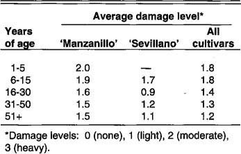 Average statewide freeze damage by tree age as reported on grower questionnaires