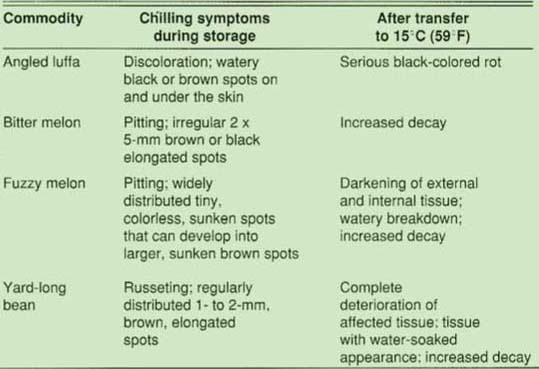 Symptoms of chilling injury on angled luffa, bitter melon, fuzzy melon and yard-long bean