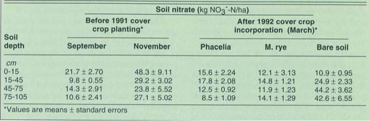 Mean soil nitrate at four depths at Farm 3 on two sample dates before cover crop planting in December 1991, and in the two cover crop treatments and the bare soil control plots after cover crop incorporation in March 1992