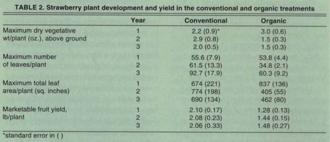Strawberry plant development and yield in the conventional and organic treatments