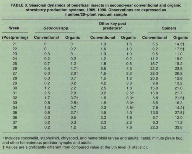Seasonal dynamics of beneficial insects in second-year conventional and organic strawberry production systems, 1989-1990. Observations are expressed as number/20-plant vacuum sample