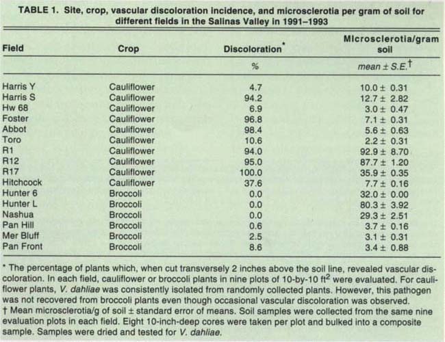 Site, crop, vascular discoloration incidence, and microsclerotia per gram of soil for different fields in the Salinas Valley in 1991-1993