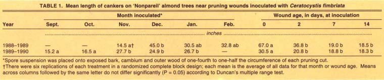  Mean length of cankers on ‘Nonpareil’ almond trees near pruning wounds inoculated with Ceratocystis fimbriata 