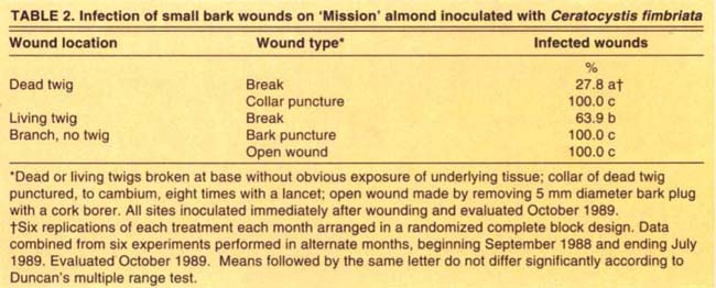  Infection of small bark wounds on ‘Mission’ almond inoculated with Ceratocystis fimbriata 