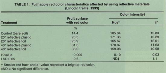  ‘Fuji’ apple red color characteristics affected by using reflective materials (Lincoln trellis, 1993)