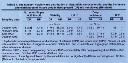 The number, viability and distribution of Sclerotinia minor sclerotia, and the incidence and distribution of lettuce drop in deep-plowed (DP) and nonplowed (NP) fields