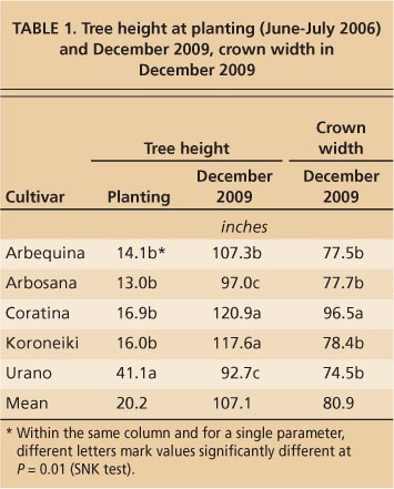 Tree height at planting (June-July 2006) and December 2009, crown width in December 2009