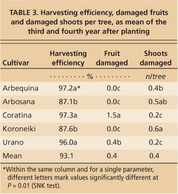 Harvesting efficiency, damaged fruits and damaged shoots per tree, as mean of the third and fourth year after planting