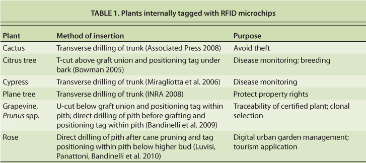 Plants internally tagged with RFID microchips