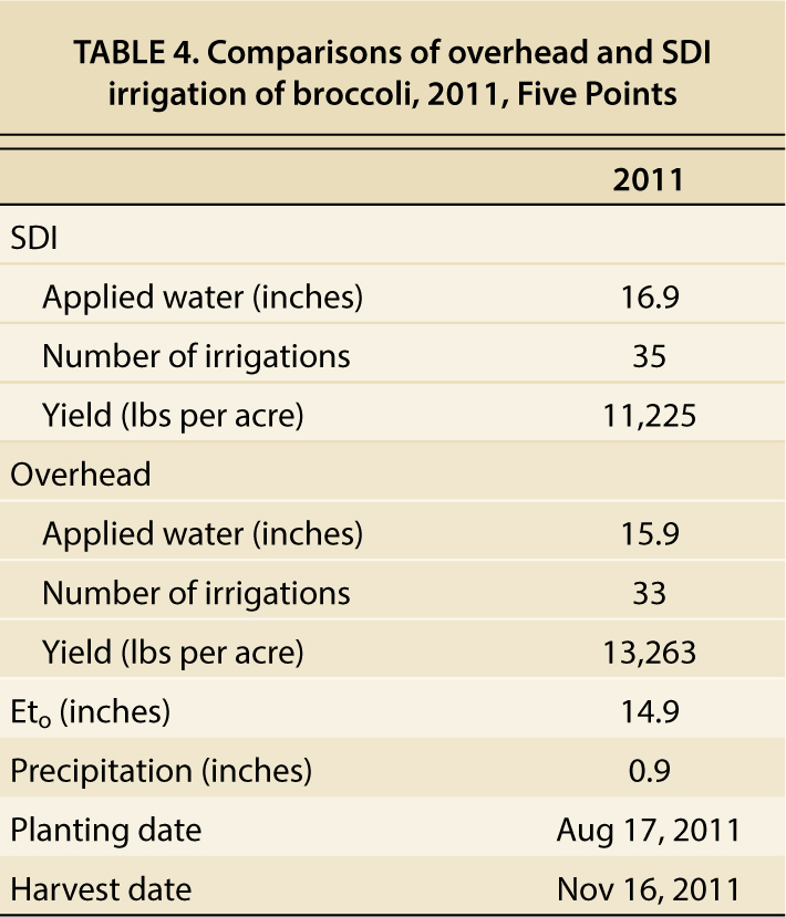 Comparisons of overhead and SDI irrigation of broccoli, 2011, Five Points